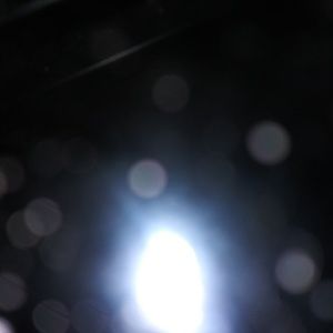 Meet your Posher, Veronica